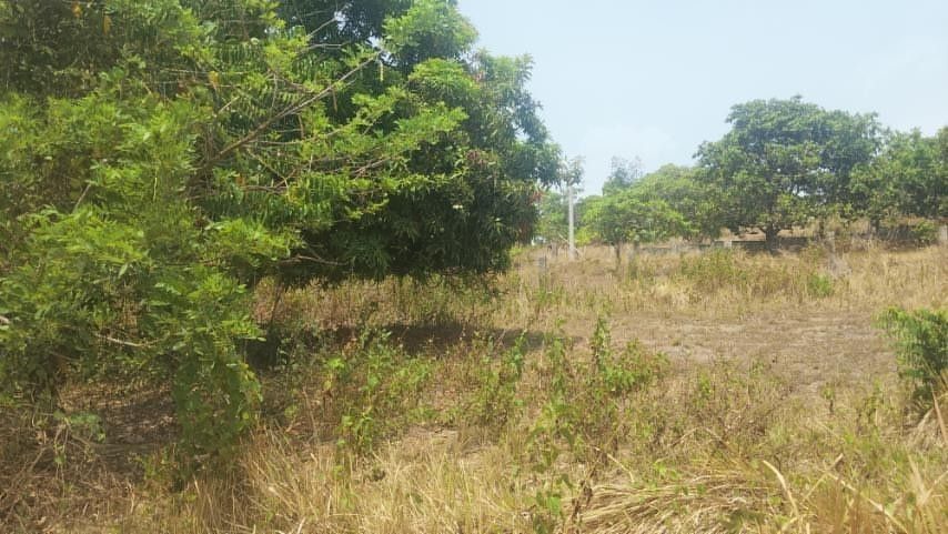 Vacant Land Plot Rural Area (Category: Construction & Building Materials) located in Quezon City. Submitted by jaysab19 (Listing ID 1466785733, Image 2). Description: RUSH FOR SALE‼️‼️‼️ Mas mura sa market value‼️‼️‼️ PM agad sa interesado. 500 sqm lot at Bagac Country Farms, Bataan. Sa may mataas na part. It's a corner lot, and the area is surrounded by three mountains. (Natib, Samat, Mariveles) Water Source: Deep Well & Concrete Piping Electric