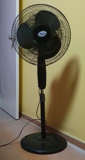 (Category: ) located in . Submitted by xkiian (Listing ID 1419118164, Image 1). Description: .