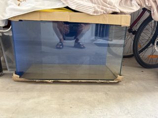 (Category: ) located in . Submitted by ngchans (Listing ID 1417617137, Image 1). Description: .