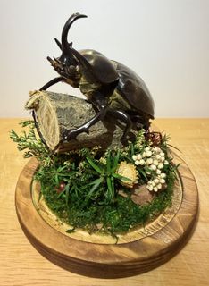 （分類：）位於 。 由 ryanding 提交（商品編號 1419037469，圖片 1）。簡介： 。