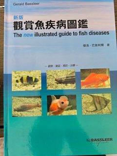 （分類：）位於 。 由 kenneth_yip0331 提交（商品編號 1419052432，圖片 1）。簡介： 。