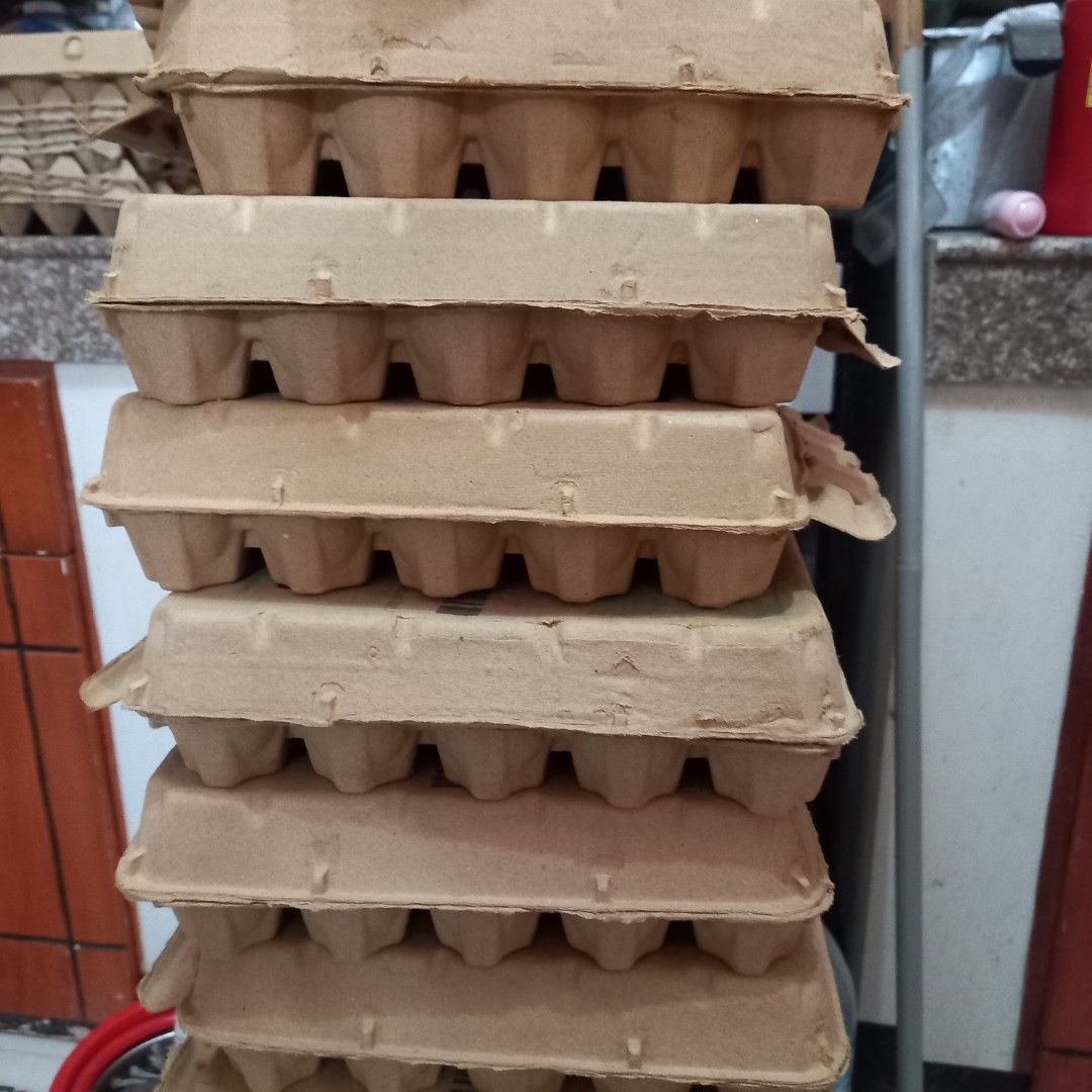 Egg Tray (Category: Fresh Produce) located in Las Pinas. Submitted by johnglennecat-13234 (Listing ID 1418988582, Image 3). Description: * Egg tray with cover * Egg tray without cover.