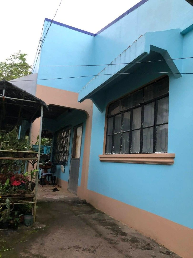 House and Lot (Category: Lot) located in San Juan City. Submitted by mjdeclutters (Listing ID 1419117916, Image 2). Description: House and Lot - Titled Basud, Camarines Norte 3 bedrooms, 2 bathrooms. one separate bldg outside for storage with plenty of fruitbearing trees. garage and separate parking lot fits 3 SUVs.