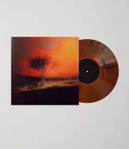 SIGNED] Joji — Piss In The Wind Vinyl LP Record, Hobbies