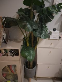 (Category: ) located in . Submitted by cc1560 (Listing ID 1419123744, Image 1). Description: .