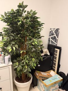 （分類：）位於 。 由 w_cab 提交（商品編號 1419171470，圖片 1）。簡介： 。