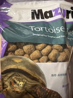（分類：）位於 。 由 turtlebbg 提交（商品編號 1419149418，圖片 1）。簡介： 。
