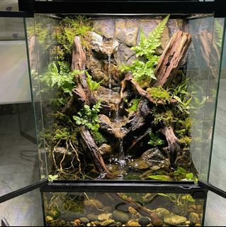 (Category: ) located in . Submitted by built_to_nature (Listing ID 1418994753, Image 1). Description: .