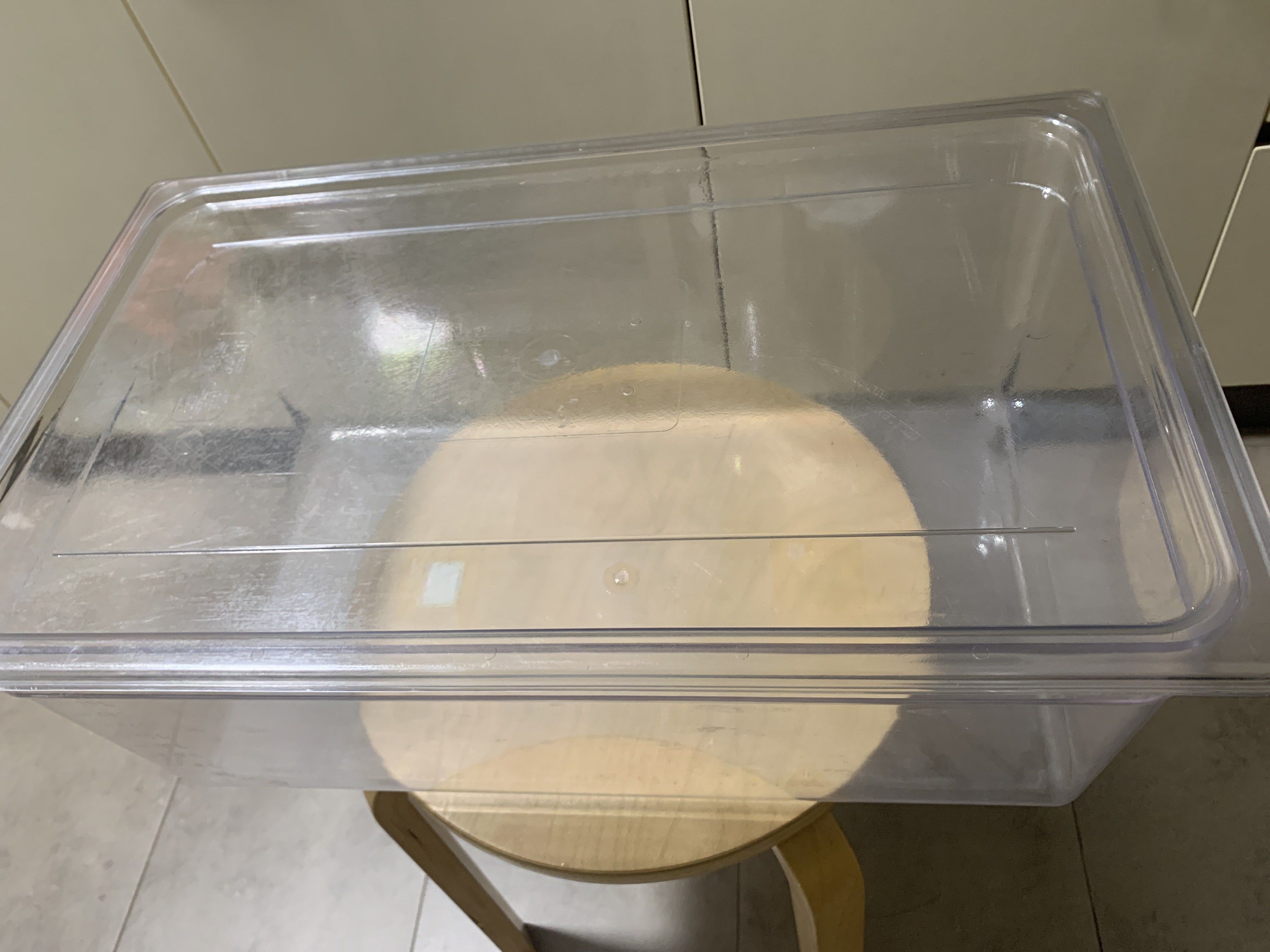 SB PTE LTD 1/1 Full Size Food Storage Container