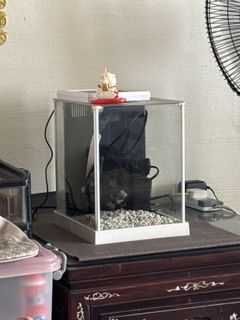 (Category: ) located in . Submitted by gulimo (Listing ID 1419046598, Image 1). Description: .