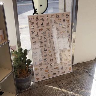 （分類：）位於 。 由 denebray 提交（商品編號 1420781096，圖片 1）。簡介： 。
