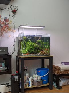 (Category: ) located in . Submitted by llapitskaia (Listing ID 1420808563, Image 1). Description: .