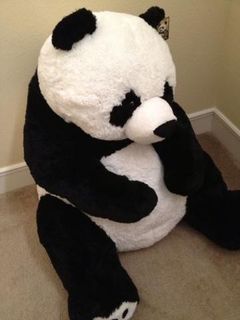 (Category: ) located in . Submitted by helloemo (Listing ID 1420757013, Image 1). Description: .