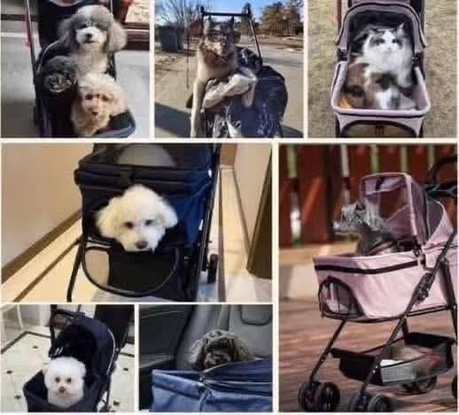 Pet Stroller (Category: Strollers) located in Manila. Submitted by haideee (Listing ID 1420846068, Image 2). Description: .