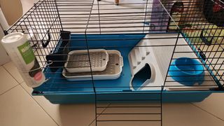(Category: ) located in . Submitted by jeffery81 (Listing ID 1420875949, Image 1). Description: .