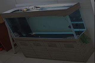 (Category: ) located in . Submitted by clement94 (Listing ID 1420968255, Image 1). Description: .