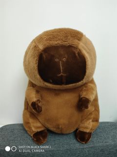 （分類：）位於 。 由 william2022f 提交（商品編號 1420975760，圖片 1）。簡介： 。