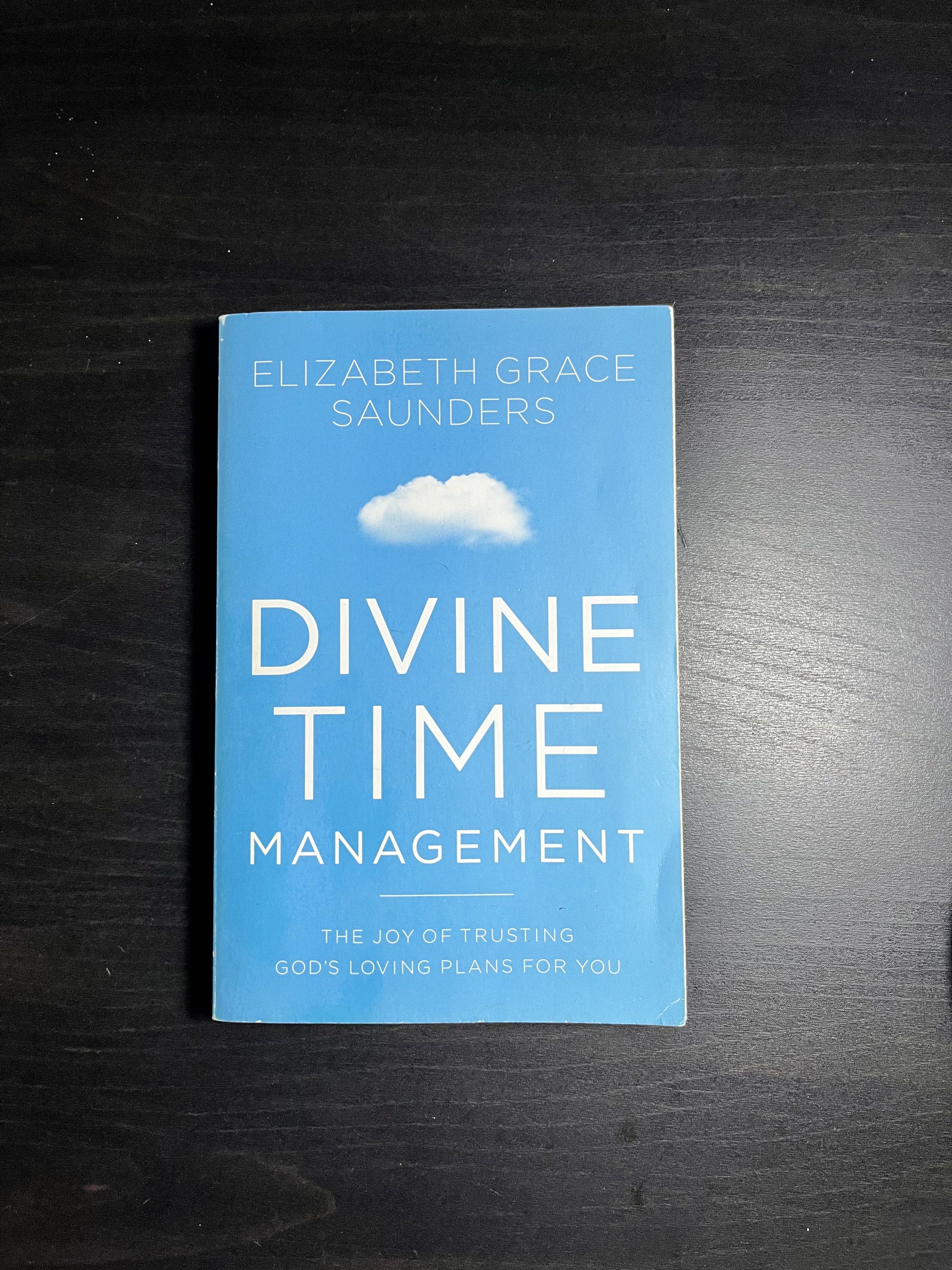 Divine Time Management by Elizabeth Grace Saunders (Category: Storybooks) located in Manila. Submitted by sunshineapril (Listing ID 1420948462, Image 1). Description: - With some browning on pages.