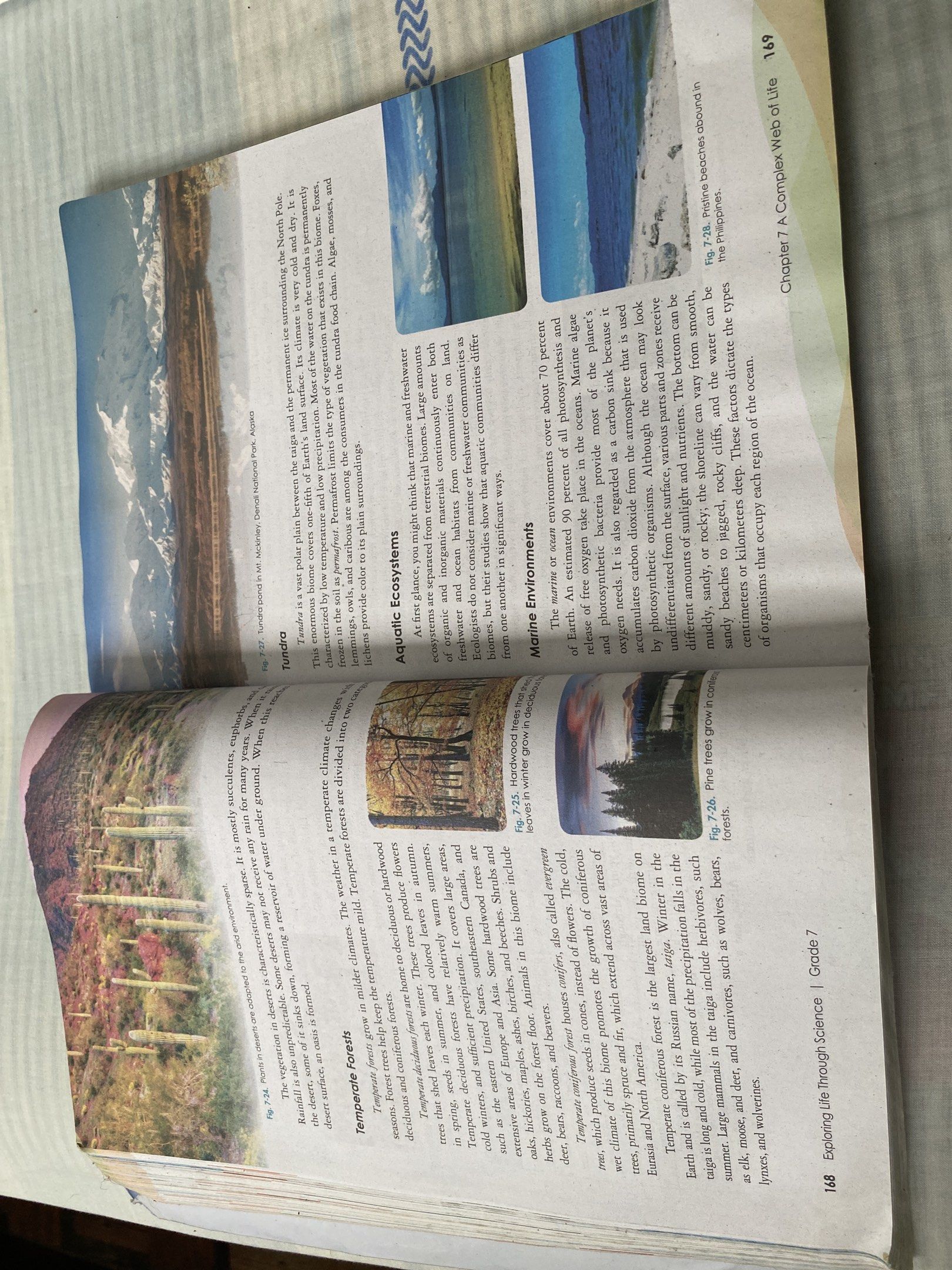Exploring Life Through Science Grade 7 Textbook (Category: Textbooks) located in Malay. Submitted by ScentsPromenade_ (Listing ID 1420951797, Image 2). Description: - Grade 7 Exploring Life Through Science Textbook - Third Edition - Published by Phoenix Publishing House - K to 12 compliant - Covers science topics including aquatic ecosystems and alpine environments - Includes a periodic table - Author information included.