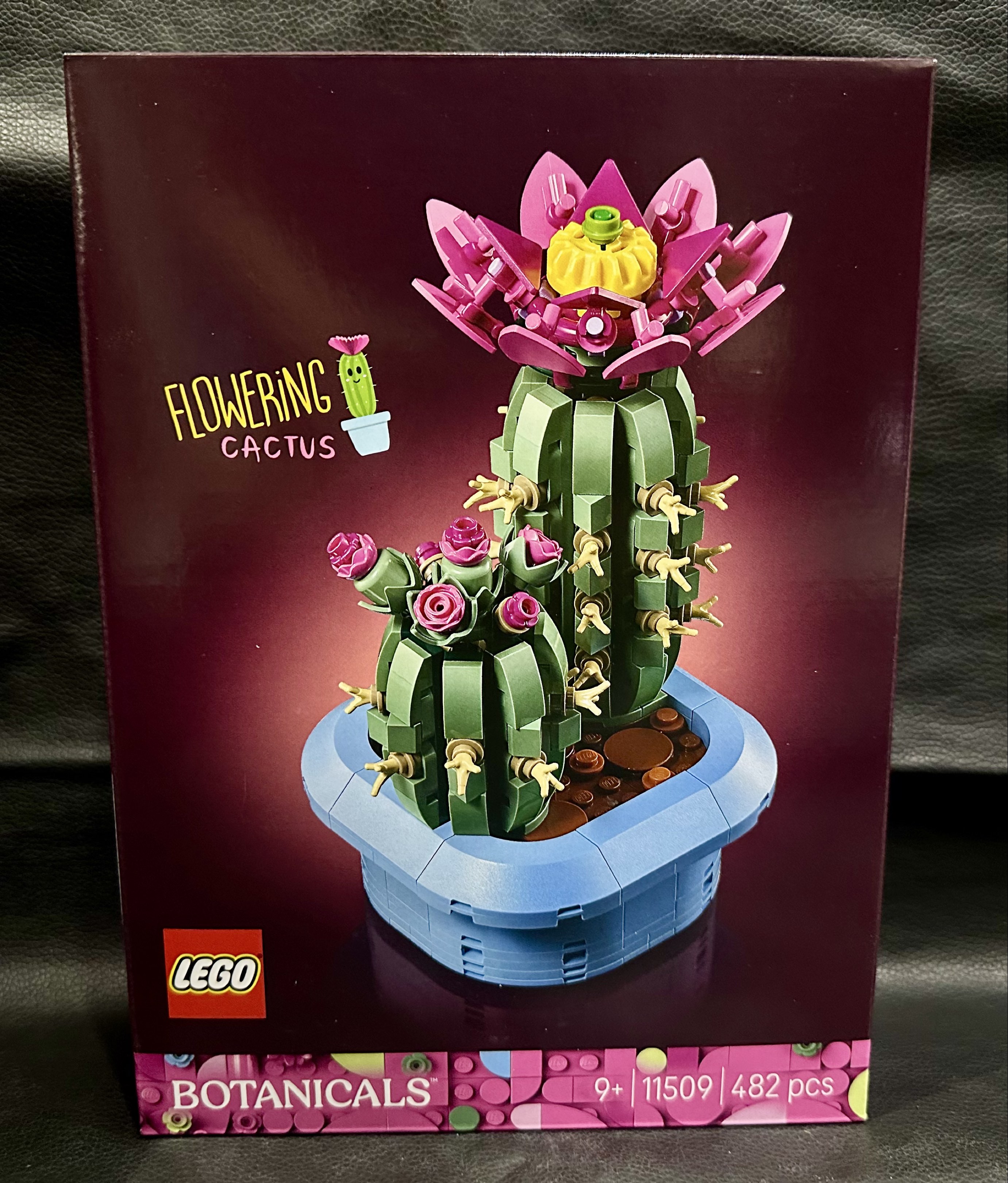 LEGO Icons Botanical Collection Flowering Cactus 11509, Hobbies & Toys ...