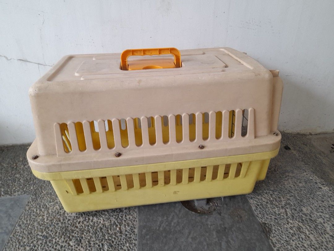 Plastic Pet Carrier (Category: Homes & Other Pet Accessories) located in Pasig City. Submitted by silentforest_59b349 (Listing ID 1420994944, Image 1). Description: - Durable plastic pet carrier for small pets. - Secure latch closure. - Ventilation slots for airflow. - Convenient carrying handle. - Two-tone design: yellow top, beige base..