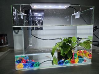 (Category: ) located in . Submitted by lalashoppe (Listing ID 1421066467, Image 1). Description: .