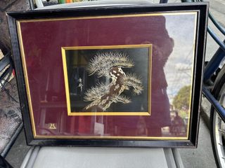 (Category: ) located in . Submitted by pwestoonlinestore (Listing ID 1421010337, Image 1). Description: .