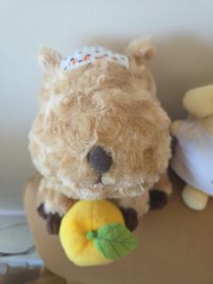 （分類：）位於 。 由 yassayll 提交（商品編號 1421135474，圖片 1）。簡介： 。