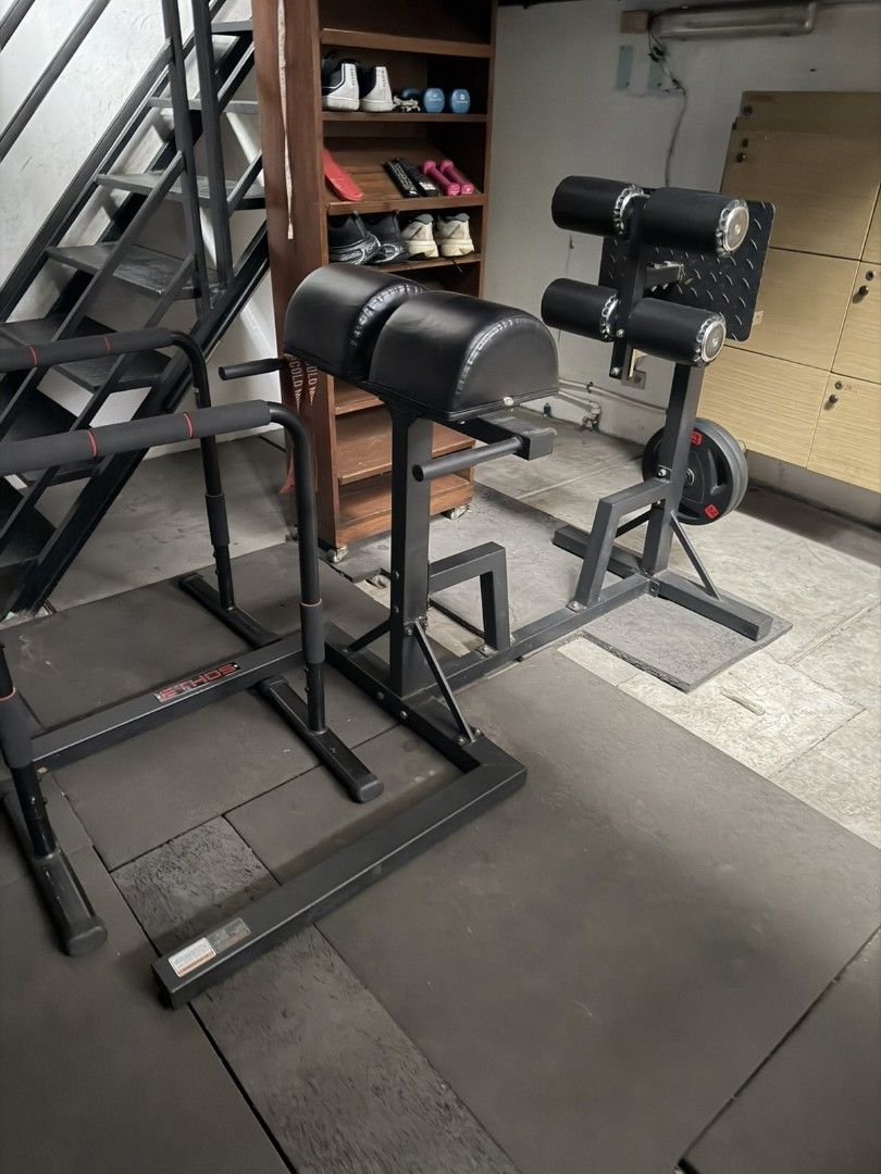 Back Extension Hamstring Machine Ethos GHD Glute Hamstrings and Back Extension Combo taytay rizal for ...