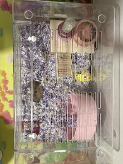 (Category: ) located in . Submitted by thepetiteplace (Listing ID 1421176169, Image 1). Description: .