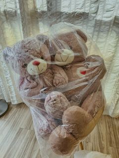 (Category: ) located in . Submitted by bieannes (Listing ID 1421153840, Image 1). Description: .