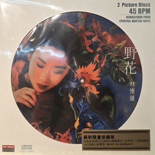 王菲Faye Wong - Di-Dar 黑膠唱片黑膠碟全新12