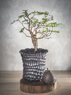 （分類：）位於 。 由 hujang 提交（商品編號 1421317763，圖片 1）。簡介： 。