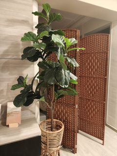 (Category: ) located in . Submitted by amal_muz (Listing ID 1421393381, Image 1). Description: .