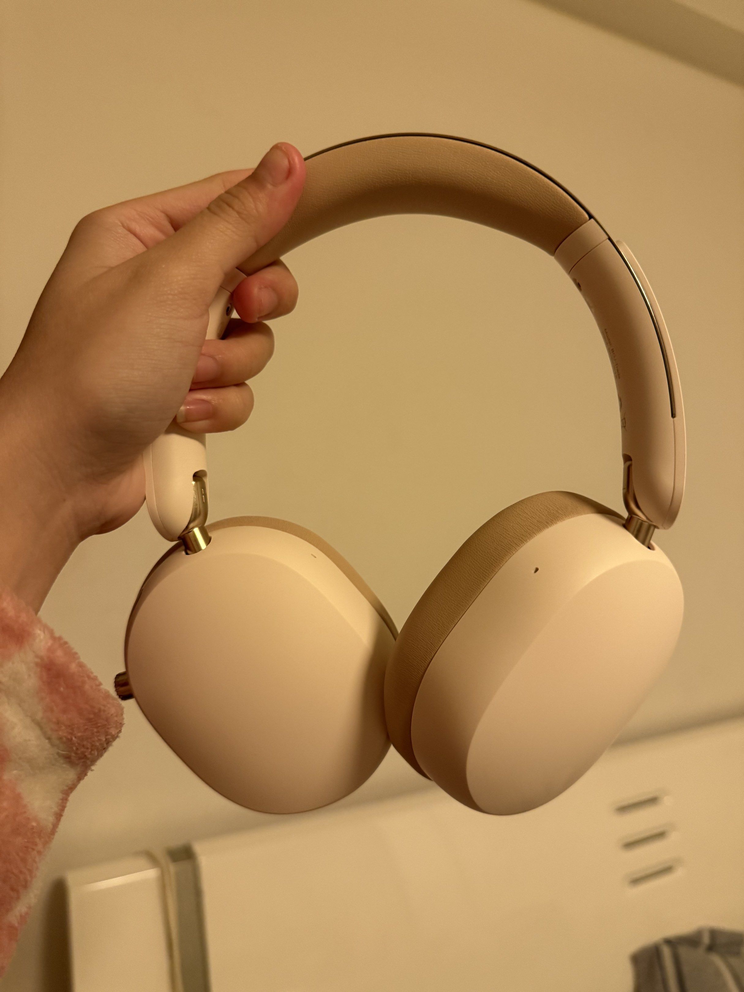 Headphones/ Headsets