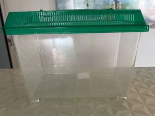 (Category: ) located in . Submitted by pltan10 (Listing ID 1421328041, Image 1). Description: .