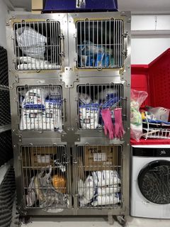 (Category: ) located in . Submitted by dogggsss (Listing ID 1421322527, Image 1). Description: .