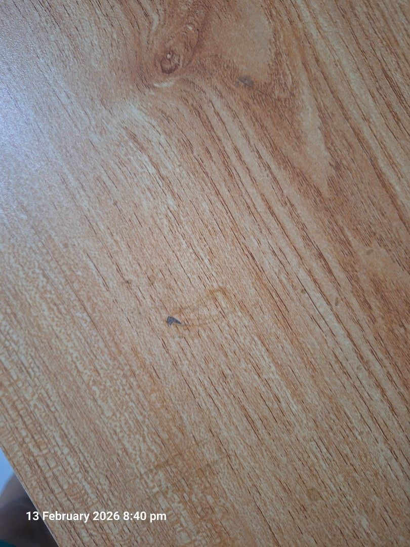 Table (Category: Tables & Sets) located in Singapore. Submitted by louie.vlsqz.bosavela (Listing ID 1421157833, Image 3). Description: -dismantled -wood table top and steel supports.