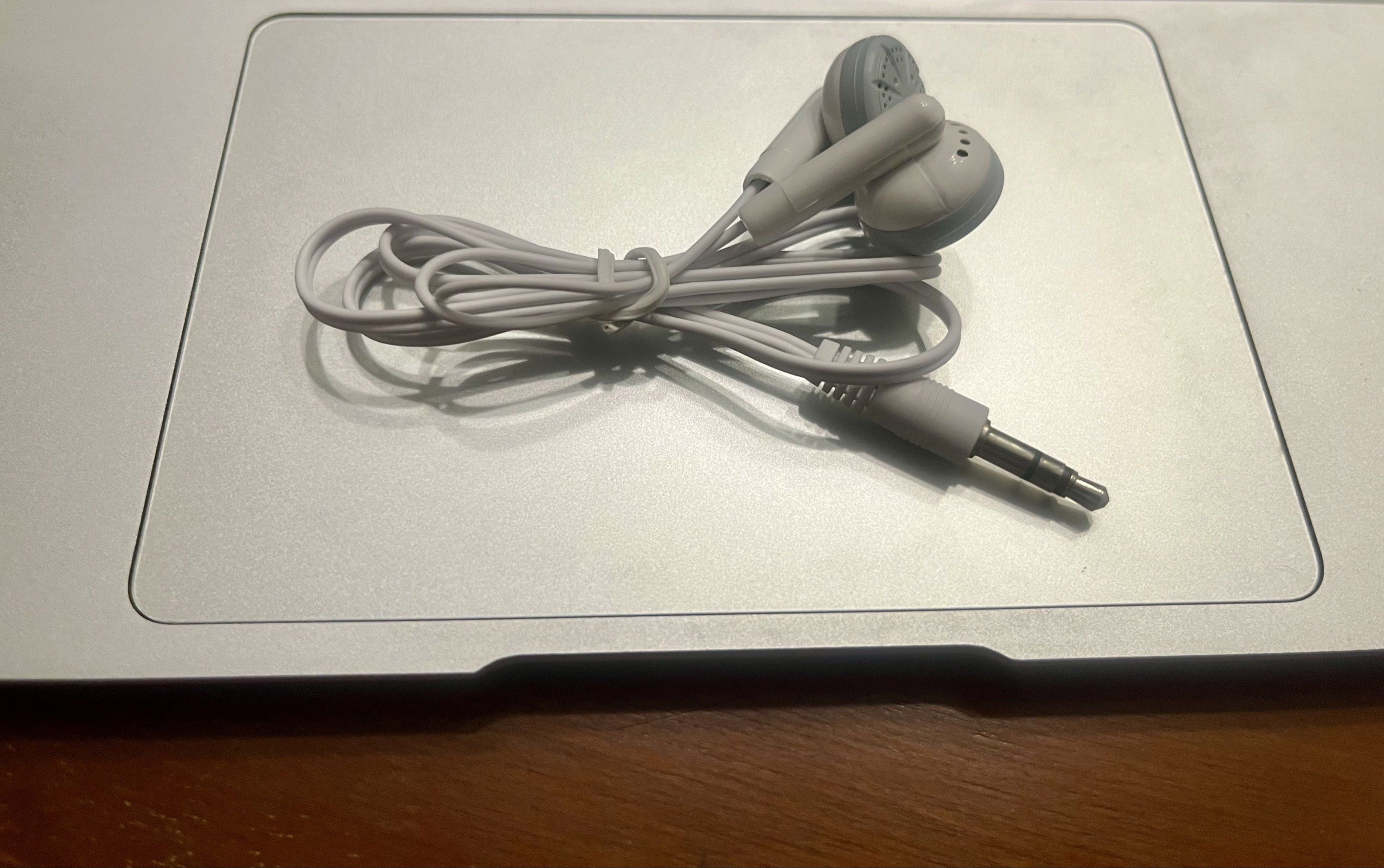 White Wired Earphones x2