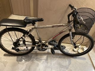 （分類：）位於 。 由 paulson129 提交（商品編號 1421549006，圖片 1）。簡介： 。