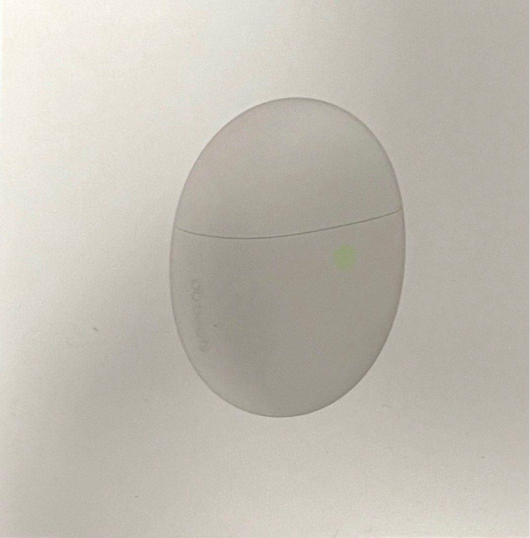 Earpiece65561379239169110