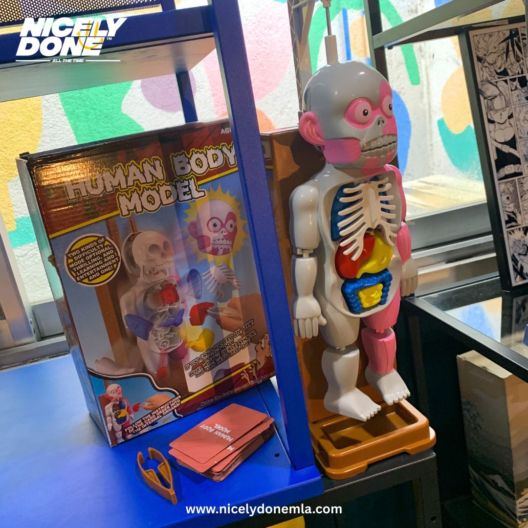 Human Body Model Educational Toy (Category: Educational & Learning Toys) located in Manila. Submitted by nicelydone31948 (Listing ID 1421504830, Image 3). Description: - Interactive human body model with removable parts. - Includes cards and accessories for learning. - Great for kids and anyone interested in anatomy. - Fun and educational way to explore the human body's organs and systems..