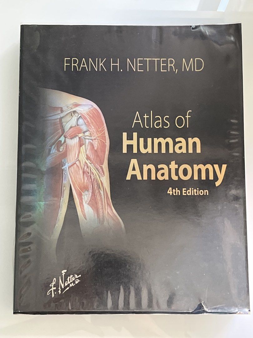 Netter Atlas of Human Anatomy 4th Ed, Hobbies & Toys, Books & Magazines ...