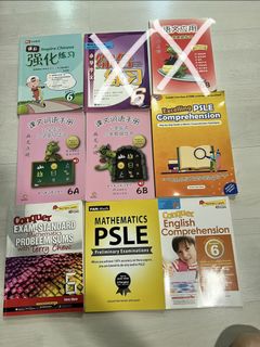 Conquer Model Drawing MATH MATHS MATHEMATICS Assessment book for Lower ...