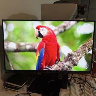 (Category: ) located in . Submitted by team1236 (Listing ID 1421572179, Image 1). Description: .