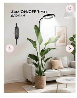 (Category: ) located in . Submitted by dsharma1708 (Listing ID 1421414496, Image 1). Description: .