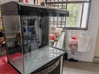 Aquarium Tank (ONLY), Pet Supplies, Homes & Other Pet Accessories on ...