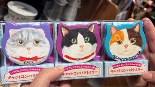 （分類：）位於 。 由 nvn208 提交（商品編號 1421774506，圖片 1）。簡介： 。