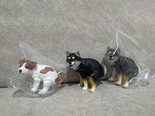 （分類：）位於 。 由 rachelpak__ 提交（商品編號 1421784035，圖片 1）。簡介： 。
