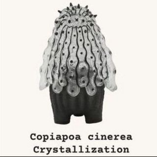 （分類：）位於 。 由 cdg080029 提交（商品編號 1421733156，圖片 1）。簡介： 。